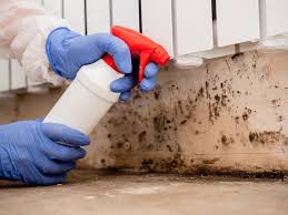 Best Industrial Mold Remediation  in Womelsdorf, PA